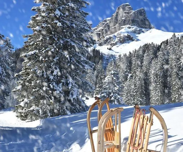 Parkareal 404 By Interhome * Bolgen